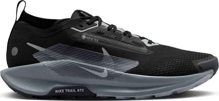 Nike Pegasus Trail 5 Gore-Tex (Herren)