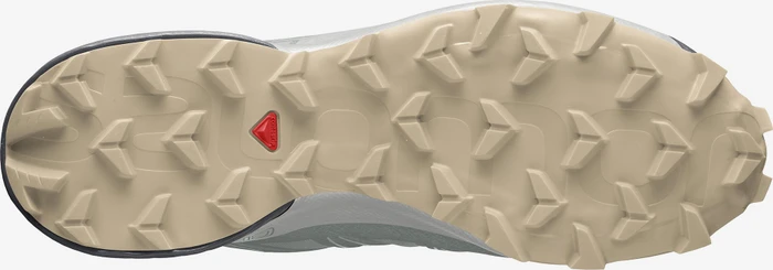 Salomon Speedcross 5 green milieu/ebony/pale khaki (Herren)