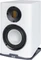 Elac Carina BS243.4 Vorschaubild
