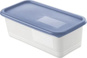 Rotho Domino Gefrierdose Aufbewahrungsbehälter 1.2l horizontblau, 3 Stück