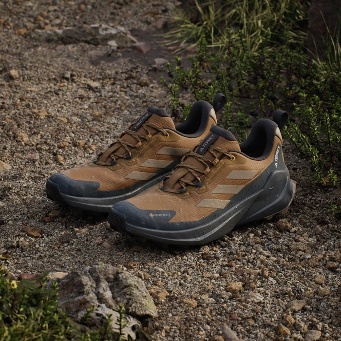 adidas Terrex Trailmaker 2.0 GTX bronze strata/blanch cargo/carbon (Herren)