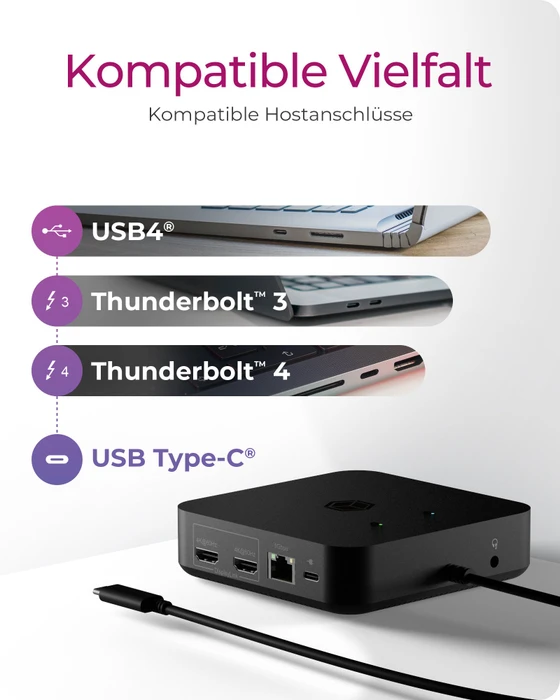 RaidSonic Icy Box IB-DK4090-C, USB-C 3.1 [Stecker]