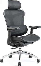 Sihoo Doro C300 Ergonomischer Bürostuhl, schwarz