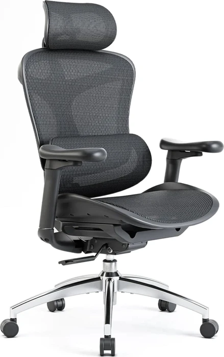 Sihoo Doro C300 Ergonomischer Bürostuhl, schwarz