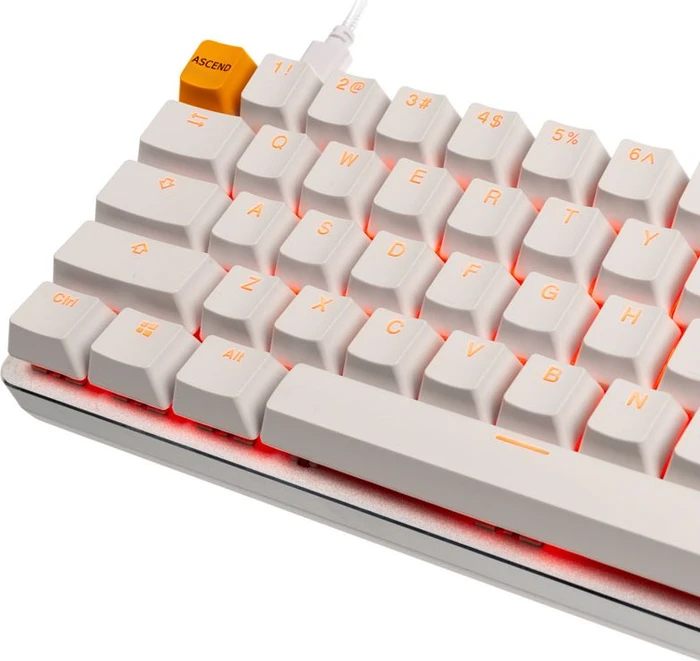 Glorious GMMK Compact, ABS, White Ice Edition, weiß/silber, Gateron BROWN, USB, US