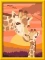 Ravensburger Malen nach Zahlen CreArt Giraffe mit Baby Vorschaubild