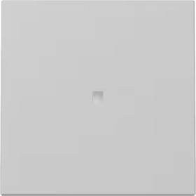 Gira Wippe mit Kontrollfenster, grau matt