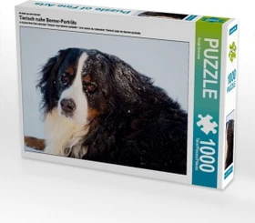 Calvendo Ein Motiv aus dem Kalender Tierisch nahe Berner-Porträts