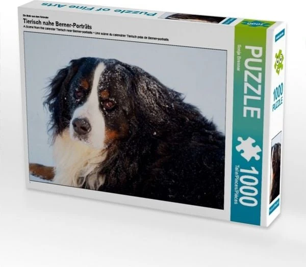 Calvendo Ein Motiv aus dem Kalender Tierisch nahe Berner-Porträts