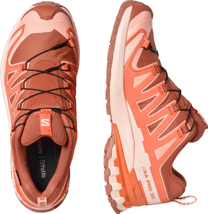 Salomon XA Pro 3D V9 GTX pecan brown/nectarine/almond cream (Damen)