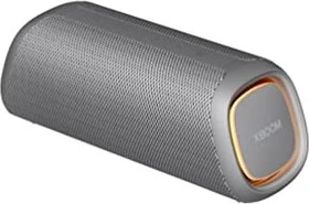 LG XBoom Go DXGQ5 grau