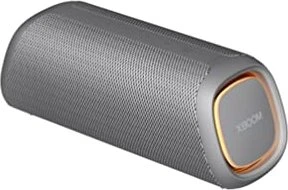 LG XBoom Go DXGQ5 grau