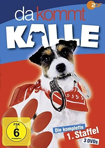 Da kommt Kalle Vol. 1 (Folgen 1-4) (DVD)