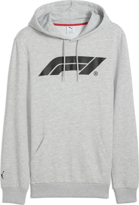 Puma F1 ESS Motorsport Hoodie light gray heather (Herren)