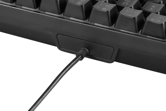 Deltaco Gaming DK240 Mini, 60%, schwarz, LEDs RGB, semi-transparent, USB, DE