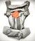 Ergobaby Carrier Omni 360 Cool Air Mesh Babytrage Vorschaubild