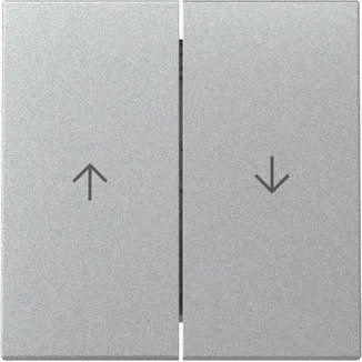Gira Wippe 2fach mit Pfeilsymbol 3294