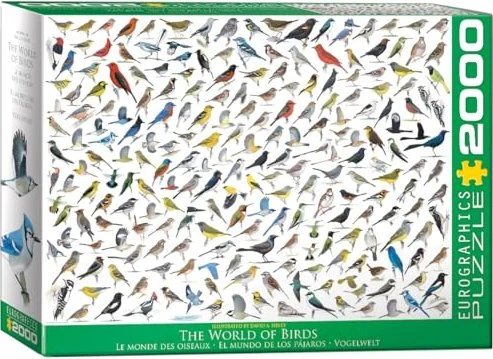 Eurographics The World of Birds