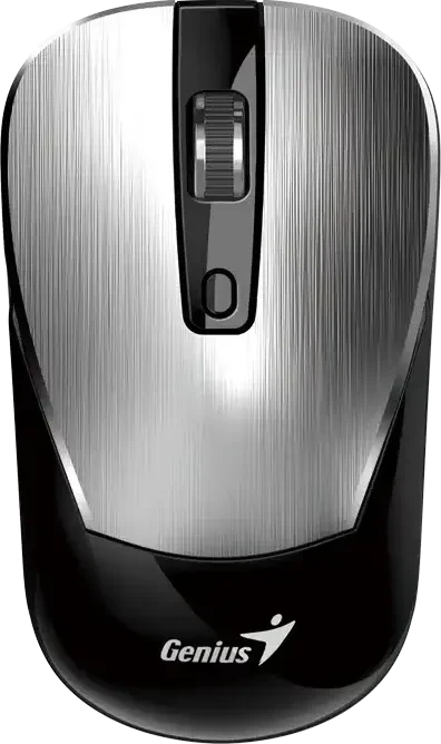 Genius NX-7125 Copilot Wireless Optical Mouse silber/schwarz, USB