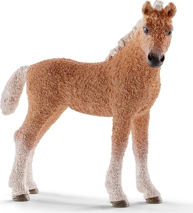 Schleich Horse Club - Bashkir Curly Fohlen
