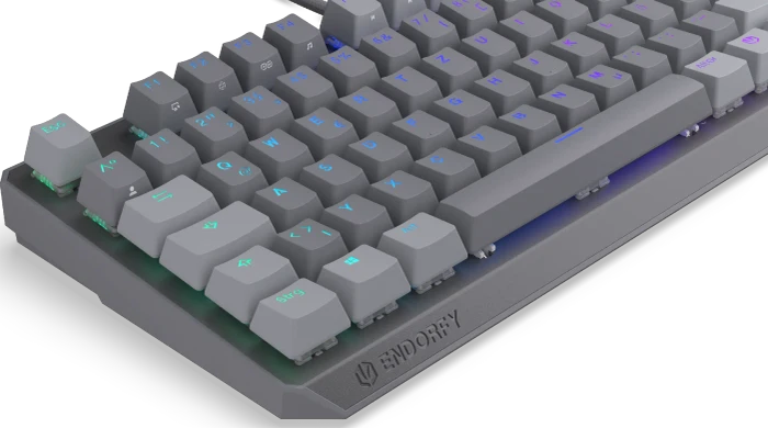 Endorfy Thock V2 TKL, PBT, grau, LEDs RGB, hot-swap, Endorfy RED, USB, DE
