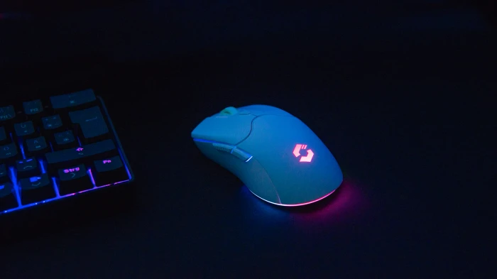 Speedlink Velox Rechargeable Wireless RGB Gaming Mouse weiß, USB