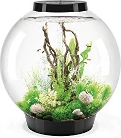 Oase biOrb Classic 105 MCR RGB LED Aquarium schwarz