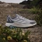 adidas Terrex Anylander grey two/chalk white/beige (Damen) Vorschaubild