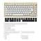 Akko MOD 007B HE, Cream White, LEDs RGB, hot-swap, Cream Yellow Magnetic, USB/Bluetooth, DE Vorschaubild