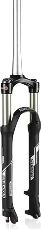 Suntour Raidon XC RL R 46mm Offset 29" 100mm Federgabel Modell 2022