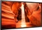 Samsung OM55N, 55" Vorschaubild
