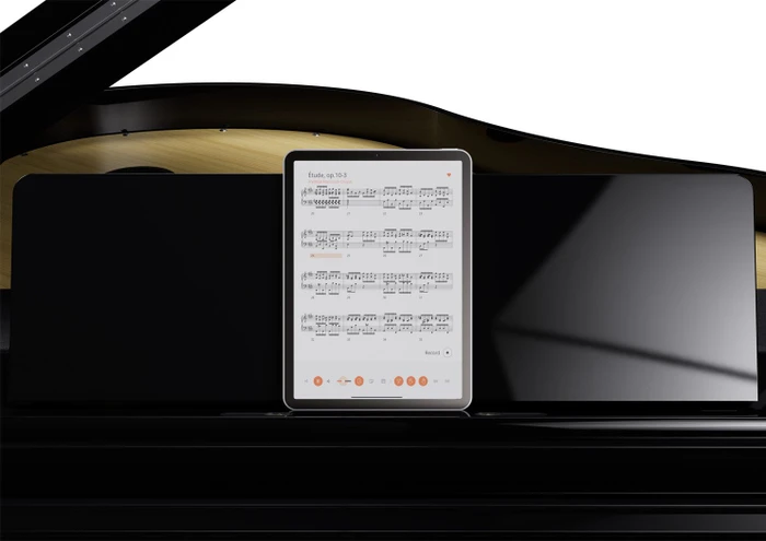 Roland GP-9 schwarz