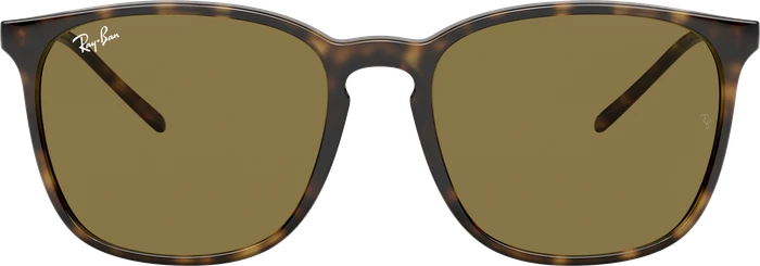 Ray-Ban RB4387