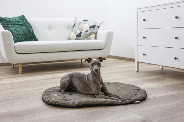 Kerbl Liegekissen Traveller, 85x65x3cm, taupe