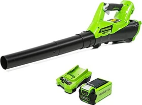 Greenworks Tools G40AB Akku-Laubbläser inkl. Akku 2.0Ah
