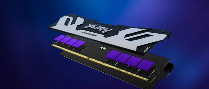 Kingston FURY Renegade schwarz/silber UDIMM 32GB Kit, DDR5-6000, CL32-38-38, 1RX8