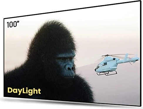 AWOL Vision Daylight ALR Screen 100"