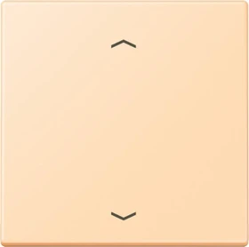 Jung Wippe 1-fach, ocre
