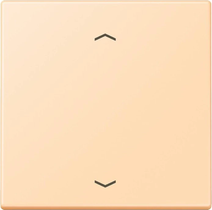 Jung Wippe 1-fach, ocre