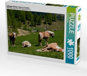Calvendo Haflinger Pferde in Rein in Taufers