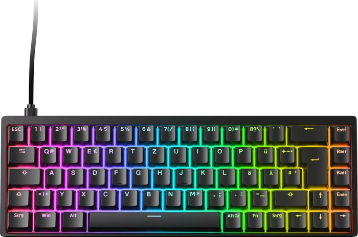 Endgame Gear KB65HE 8k Hall Effect Gaming Tastatur, schwarz, LEDs RGB, Raesha Silent Magnetic, USB, DE (EGG-KB65HE-8K-RDE)