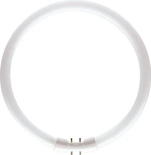 Philips Master TL5 Circular 60W/840 1CT 2GX13
