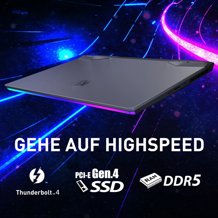 MSI Raider GE66 12UH-252, Core i7-12700H, 32GB RAM, 1TB SSD, GeForce RTX 3080, DE