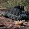 adidas Terrex Soulstride Rain.RDY core black/carbon/grey six (Herren) Vorschaubild