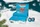 Makita P-84800 Werkzeug Adventskalender 2025