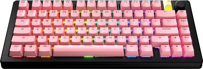 Glorious GPBT Basics Keycaps, Kunststoff (PBT), Potion Pink, rosa, 130 Tasten, ANSI-US