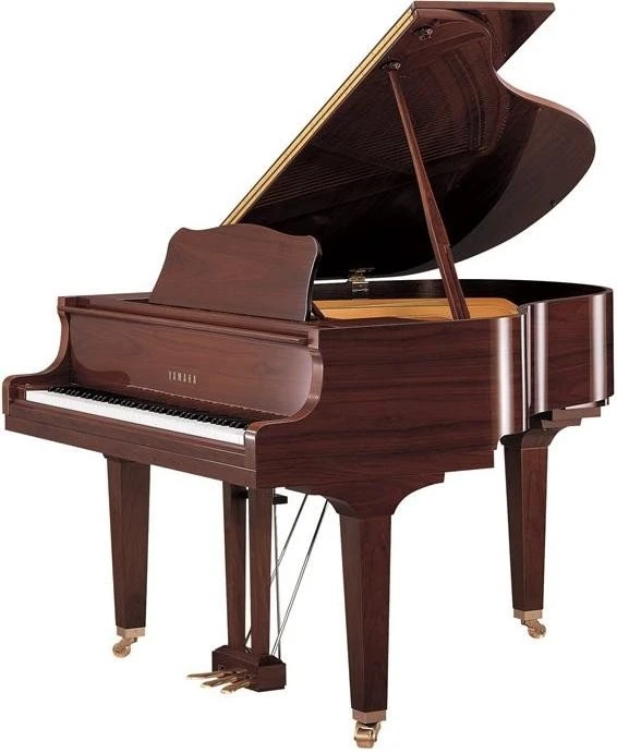 Yamaha GB1 (verschiedene Farben)