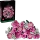 LEGO Botanicals - Rosa Rosenstrauß (10374)