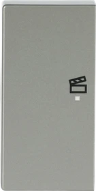 Busch-Jaeger Wippe 2-fach mit Symbol "Szene", edelstahl
