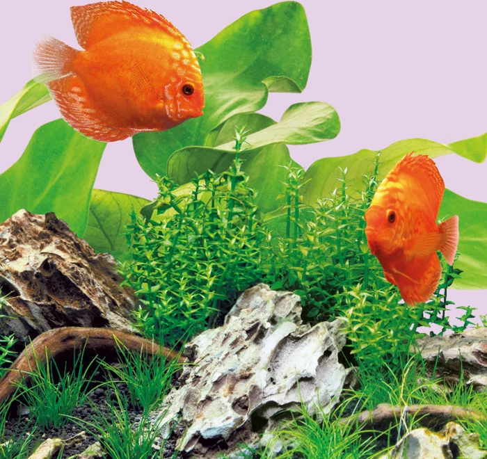 Juwel MultiLux LED Colour, 590mm, 14W